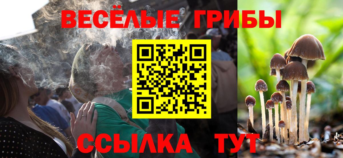 Псилоцибиновые грибы Cubensis Анапа